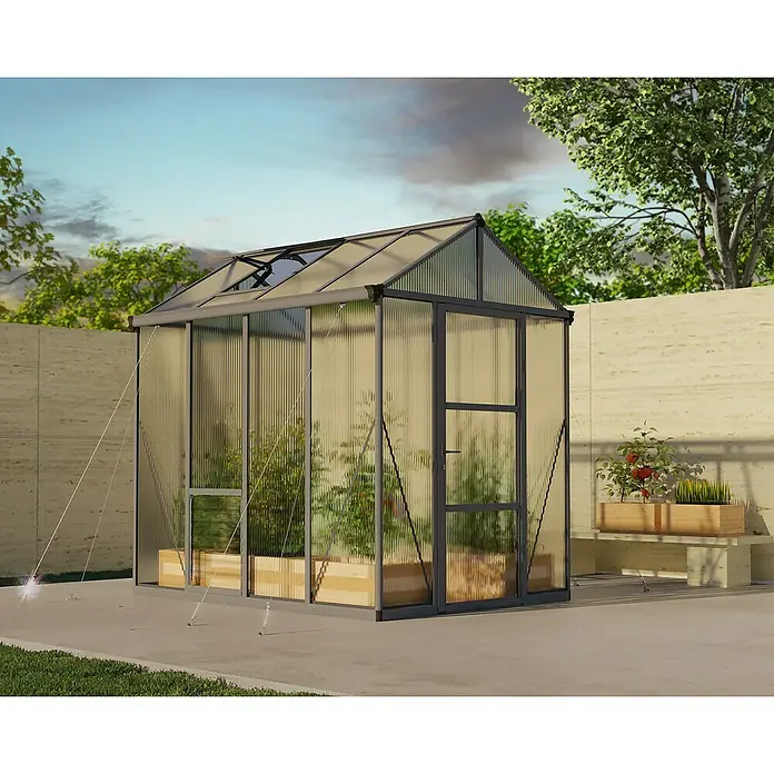 Palram – Canopia Invernadero Glory - Medidas ext. (An x Pr): 195,5 x 244,5 cm, 10 mm, Antracita - Un invernadero con plantas dentro se encuentra al aire libre, complementado con un muro de piedra. El invernadero es una gran adición a cualquier jardín.