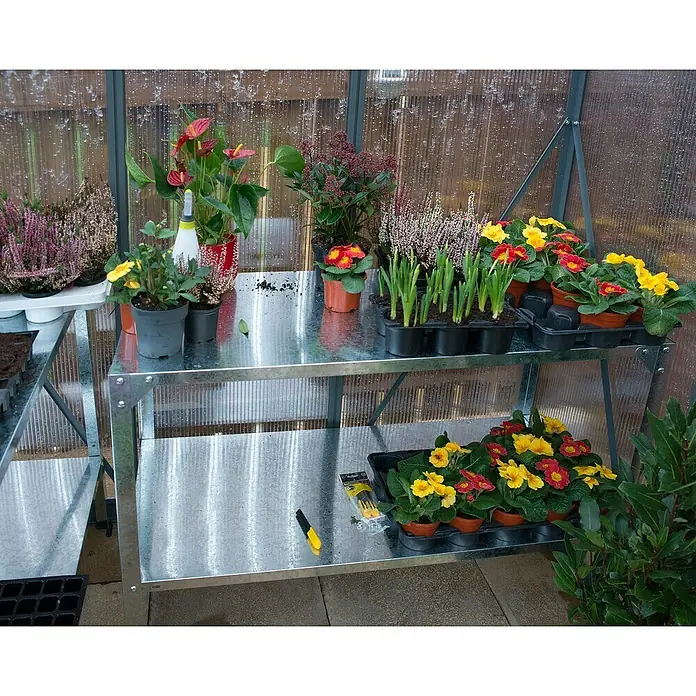 Palram – Canopia Invernadero Glory - Medidas ext. (An x Pr): 195,5 x 244,5 cm, 10 mm, Antracita - Una estantería de invernadero llena de vibrantes flores de primavera como prímulas, brezos y narcisos, dispuestas en macetas y bandejas.