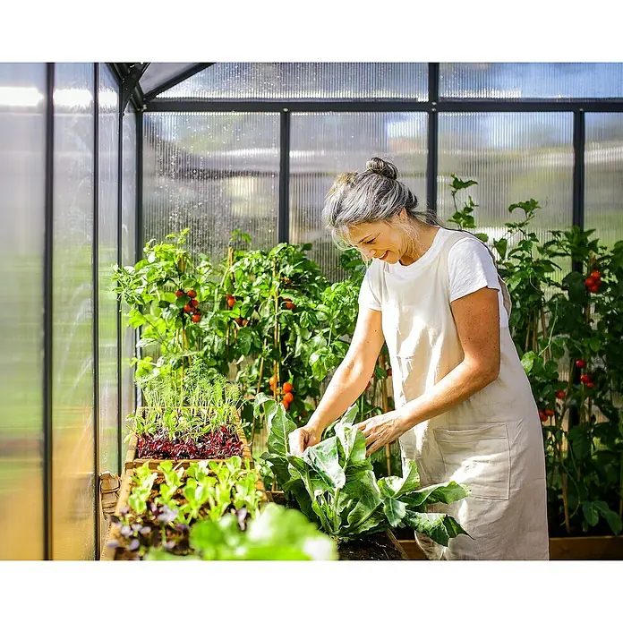 Palram – Canopia Invernadero Glory - Medidas ext. (An x Pr): 253 x 604 cm, 10 mm, Antracita - Una mujer en el invernadero cuidando su huerto. Lleva un delantal y cosecha repollos.