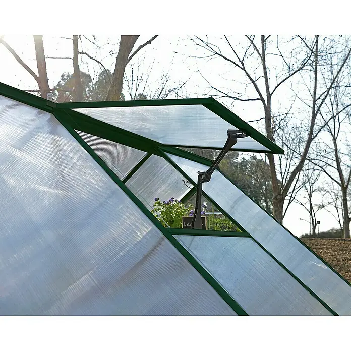 Palram – Canopia Invernadero Balance - Medidas ext. (An x Pr): 244 x 607 cm, 0,7 mm, Verde - Primer plano de un invernadero con una ventana abierta y plantas en el interior. El marco verde es claramente visible.