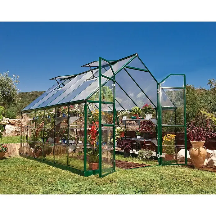 Palram – Canopia Invernadero Balance - Medidas ext. (An x Pr): 244 x 367 cm, 0,7 mm, Verde - Un invernadero espacioso con puertas abiertas, lleno de plantas y flores en estanterías. Un paraíso para los jardineros.