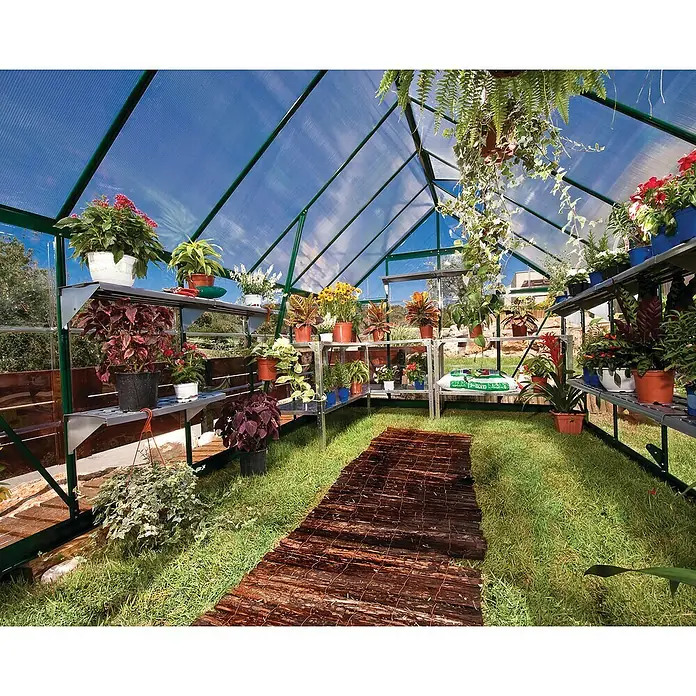 Palram – Canopia Invernadero Balance - Medidas ext. (An x Pr): 244 x 367 cm, 0,7 mm, Verde - Vista interior de un invernadero lleno de estantes con plantas en macetas bajo un techo transparente, con un camino de madera sobre el césped.