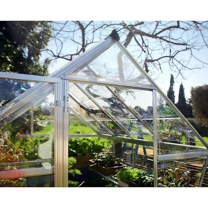 Palram – Canopia Gewächshaus Harmony - Außenmaß inkl. Dachüberstand (B x T): 185 x 426 cm, Silber, Grundfläche: 7,9 m² - Nahaufnahme eines Gewächshauses aus Aluminium mit Pflanzen im Inneren, das eine kontrollierte Umgebung für den Anbau bietet.
