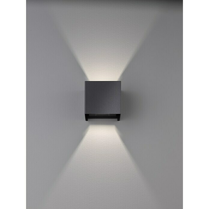 Fischer & Honsel LED-Außenwandleuchte Wall (6 W, 10 x 11 x 10 cm, Schwarz, IP44) | BAUHAUS