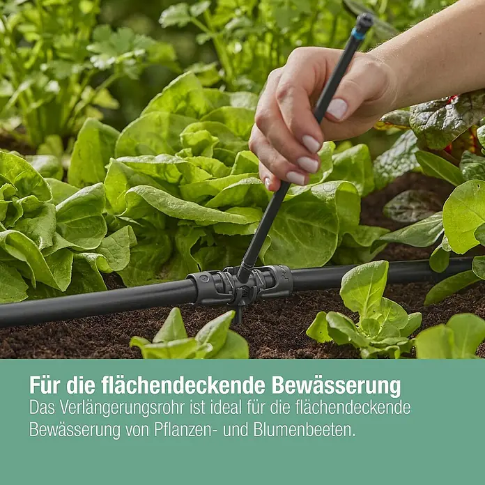 Gardena Micro-Drip Verlängerungsrohr für Sprühdosen - 5 Stk., Länge: 20 cm - Detailaufnahme einer Bewässerungsanlage im Gartenbeet. Das System sorgt für eine flächendeckende und effiziente Bewässerung von Pflanzen.