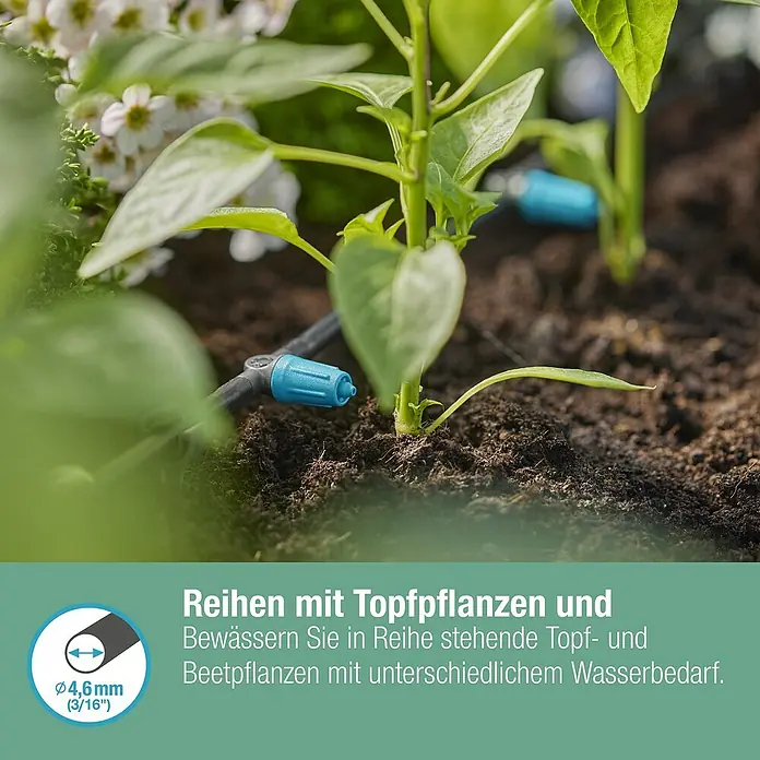 Gardena Micro-Drip Regulierbarer Reihentropfer - 10 Stk., 15 l/h - Nahaufnahme einer Bewässerungsanlage für Topfpflanzen mit blauen Düsen und schwarzen Schläuchen.