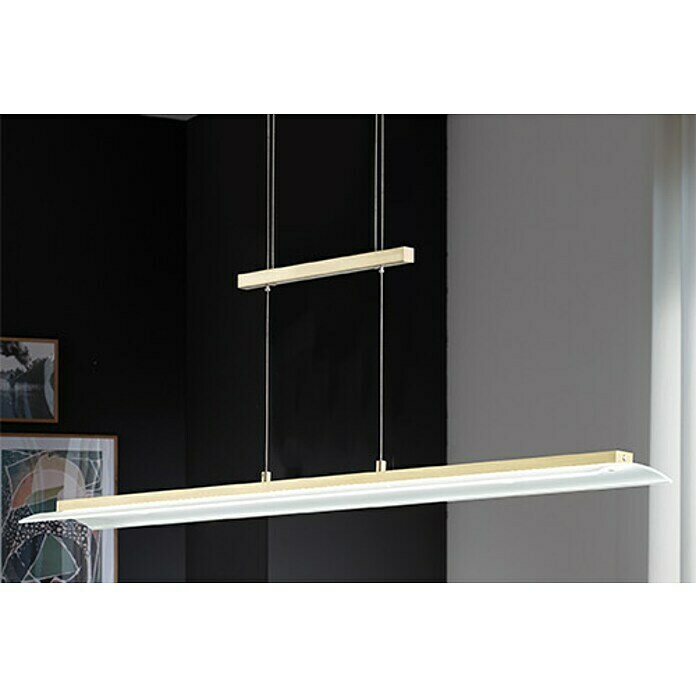 Fischer & Honsel LED-Pendelleuchte Tenso (25 W, L x B x H: 100 x 9 x 150 cm, Messing, Mehrfarbig) | BAUHAUS