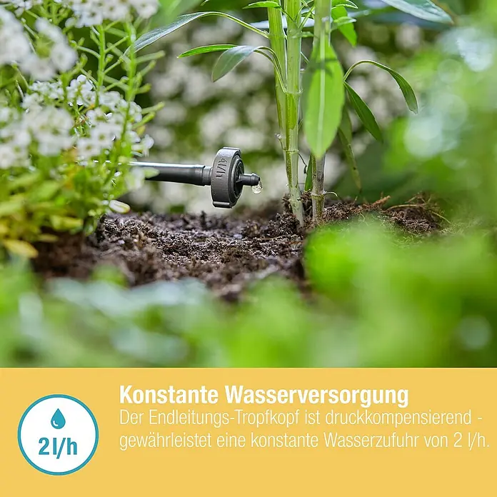 Gardena Micro-Drip Endtropfer druckregulierend - 10 Stk., Max. Wasserdurchfluss: 2 l/h - Nahaufnahme eines tropfenden Bewässerungskopfes im Garten, der Pflanzen mit konstanter Wasserzufuhr versorgt.