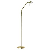 Fischer & Honsel Pool LED-Stehleuchte (5 W, Höhe: 160 cm, Messing, Mehrfarbig) | BAUHAUS