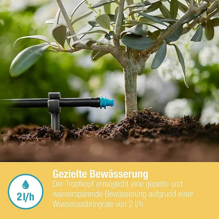 Gardena Micro-Drip Endtropfer - 25 Stk., Max. Wasserdurchfluss: 2 l/h - Nahaufnahme einer Bewässerungsanlage für einen Olivenbaum, die eine gezielte und wassersparende Bewässerung ermöglicht.