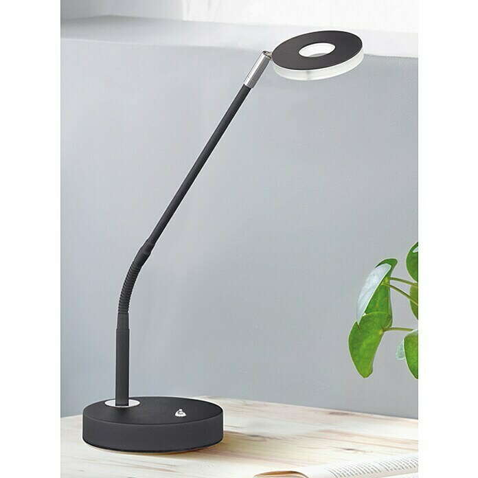 Fischer & Honsel Dent LED-Tischleuchte (6 W, L x B x H: 16 x 16 x 60 cm, Sandschwarz, Mehrfarbig) | BAUHAUS