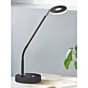 Fischer & Honsel Dent LED-Tischleuchte (6 W, L x B x H: 16 x 16 x 60 cm, Sandschwarz, Mehrfarbig) | BAUHAUS