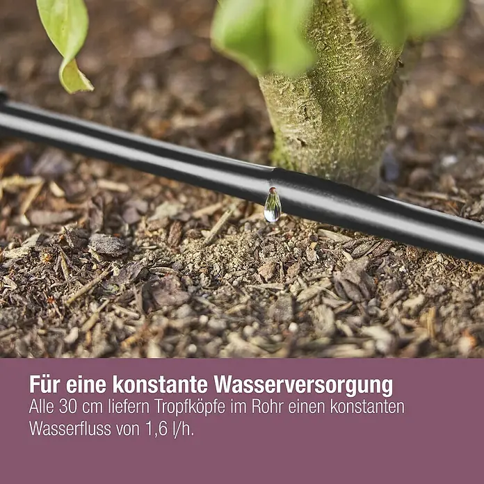 Gardena Micro-Drip Bewässerungs-Set Hecken & Sträucher 50 m Start-Set - Geeignet für: Reihenbewässerung, Pflanzreihen bis 50 m, Schlauchlänge: 50 m - Nahaufnahme eines Tropfersystems für Pflanzenbewässerung mit Wassertropfen.