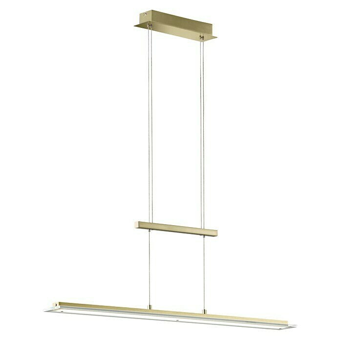 Fischer & Honsel LED-Pendelleuchte Tenso (25 W, L x B x H: 100 x 9 x 150 cm, Messing, Mehrfarbig) | BAUHAUS