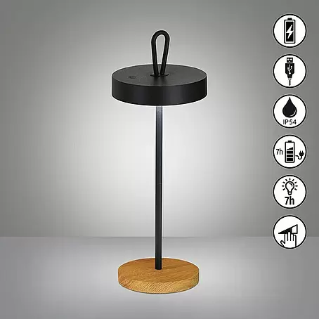 Fischer & Honsel  Akku-Tischleuchte SHINE-WOOD