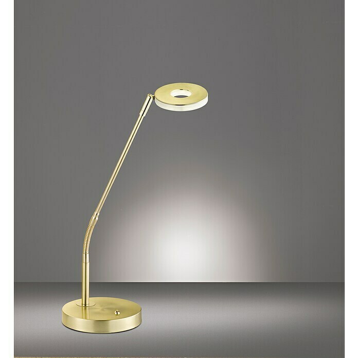 Fischer & Honsel Dent LED-Tischleuchte (6 W, L x B x H: 16 x 16 x 60 cm, Messingfarben, Mehrfarbig) | BAUHAUS