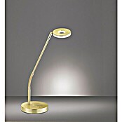 Fischer & Honsel Dent LED-Tischleuchte (6 W, L x B x H: 16 x 16 x 60 cm, Messingfarben, Mehrfarbig) | BAUHAUS