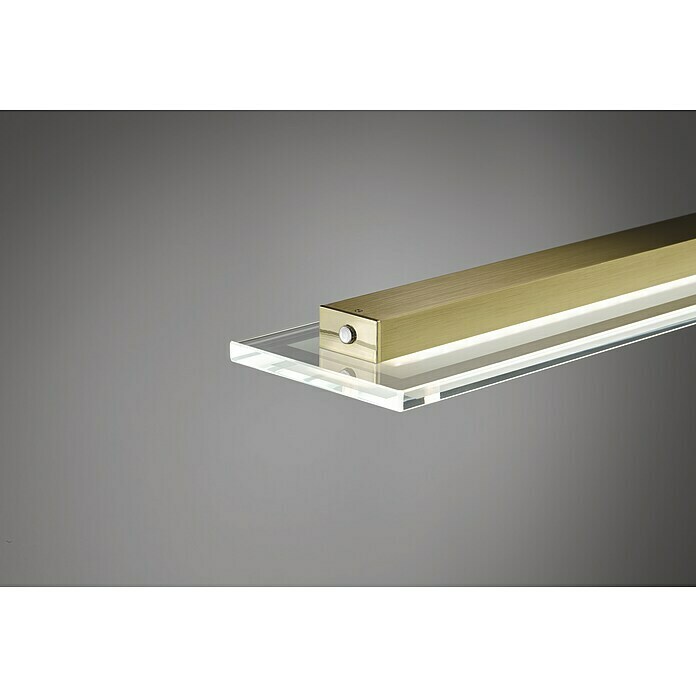 Fischer & Honsel LED-Pendelleuchte Tenso (25 W, L x B x H: 100 x 9 x 150 cm, Messing, Mehrfarbig) | BAUHAUS