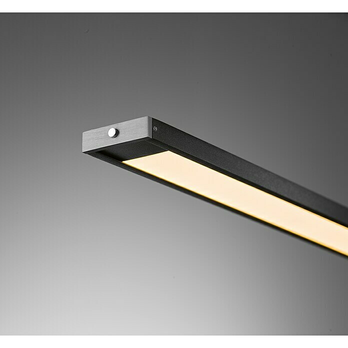 Fischer & Honsel LED-Pendelleuchte Metz (29 W, Schwarz, Mehrfarbig) | BAUHAUS