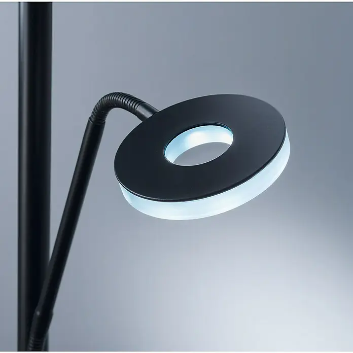 Fischer & Honsel Dent LED-Stehleuchte - 45 W, Höhe: 180 cm, Schwarz, Mehrfarbig, 2 Stk. - Nahaufnahme einer schwarzen, ringförmigen LED-Stehlampe mit kaltweissem Licht vor einem grauen Hintergrund.