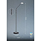 Fischer & Honsel Dent LED-Stehleuchte (6 W, Höhe: 150 cm, Sandschwarz, Mehrfarbig, 1 Stk.) | BAUHAUS