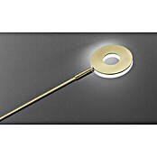 Fischer & Honsel Dent LED-Stehleuchte (12 W, Höhe: 150 cm, Messing, Mehrfarbig, 2 Stk.) | BAUHAUS