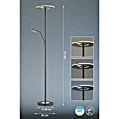 Fischer & Honsel Dent LED-Stehleuchte (45 W, Höhe: 180 cm, Schwarz, Mehrfarbig, 2 Stk.) | BAUHAUS