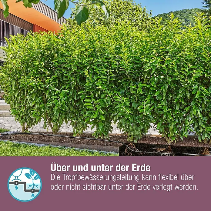 Gardena Micro-Drip Bewässerungs-Set Hecken & Sträucher 50 m Start-Set - Geeignet für: Reihenbewässerung, Pflanzreihen bis 50 m, Schlauchlänge: 50 m - Nahaufnahme einer Hecke mit einem flexiblen Tropfbewässerungssystem, das sowohl ober- als auch unterirdisch verlegt werden kann.