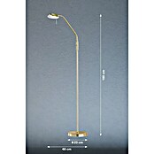 Fischer & Honsel Pool LED-Stehleuchte (5 W, Höhe: 160 cm, Messing, Mehrfarbig) | BAUHAUS