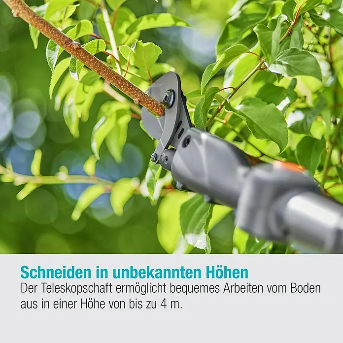 Gardena Power for All 18V Baumschere HighCut - 18 V, 1 Akku, Max. Aststärke: 28 mm, Länge: 255,7 cm - Schneiden einer Ast mit einer Teleskop-Astschere.