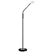 Fischer & Honsel Dent LED-Stehleuchte (6 W, Höhe: 150 cm, Sandschwarz, Mehrfarbig, 1 Stk.) | BAUHAUS