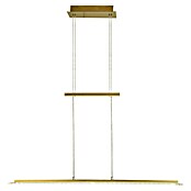 Fischer & Honsel LED-Pendelleuchte Tenso (25 W, L x B x H: 100 x 9 x 150 cm, Messing, Mehrfarbig) | BAUHAUS