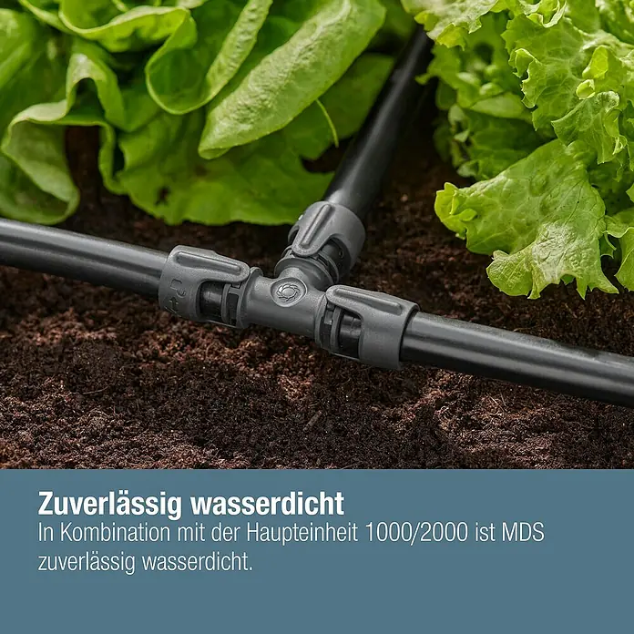 Gardena Micro-Drip T-Stück - 1/2" x 13 mm, 2 Stk. - Bild eines T-Stücks für ein Bewässerungssystem, das unter Salatpflanzen im Garten installiert ist.\n