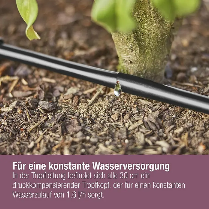 Gardena Micro-Drip Tropfrohr - Schlauchlänge: 50 m, 1,6 l/h, Passend für: Pflanzreihen bis 50 m - Nahaufnahme einer Tropfleitung, die eine Pflanze bewässert, mit Fokus auf die gleichmäßige Wasserversorgung.