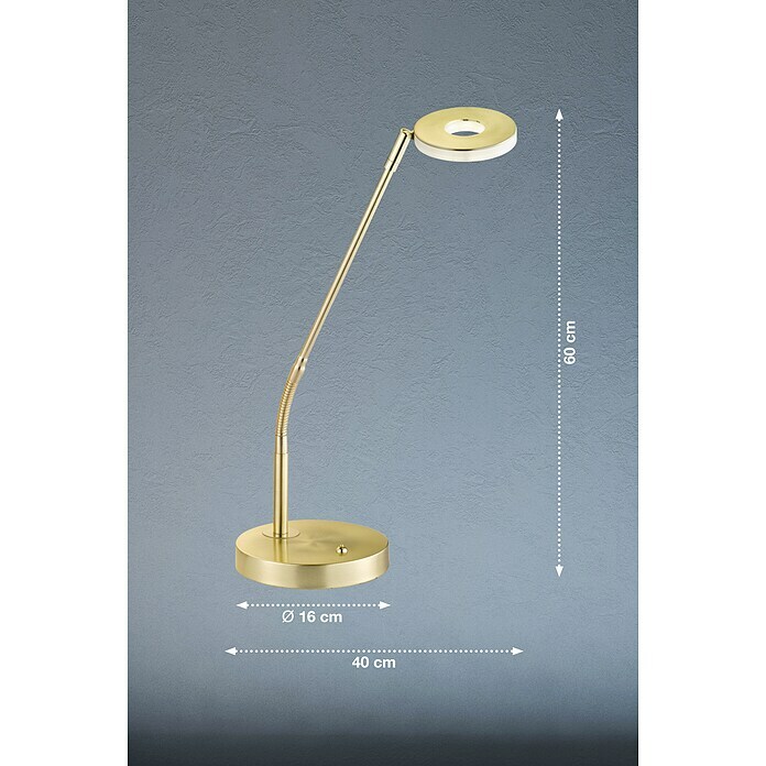 Fischer & Honsel Dent LED-Tischleuchte (6 W, L x B x H: 16 x 16 x 60 cm, Messingfarben, Mehrfarbig) | BAUHAUS