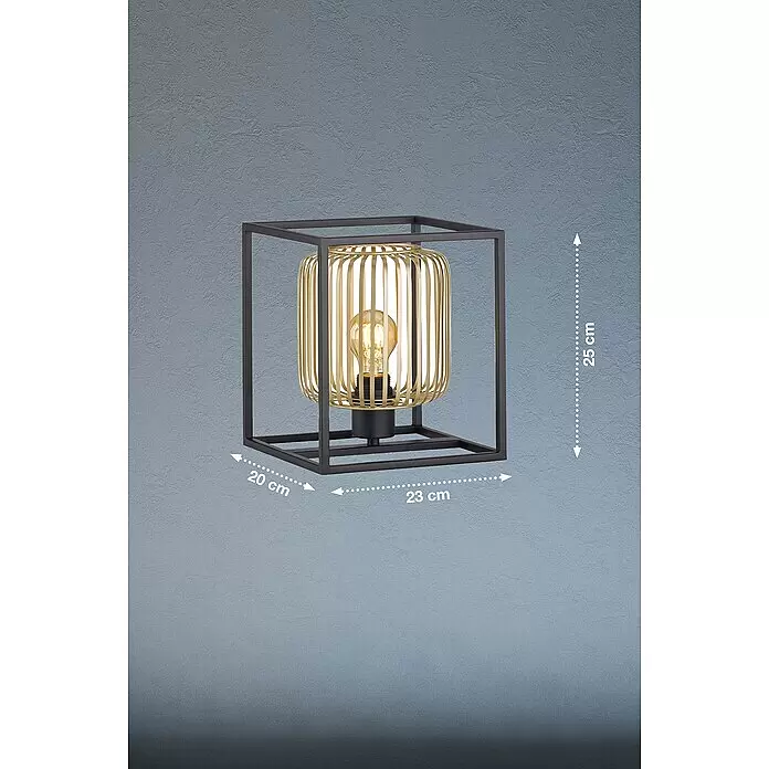 Fischer & Honsel Tischleuchte Caydo - 40 W, L x B x H: 23 x 23 x 26,5 cm, Schwarz, E27 - Schwarze Metallwürfel-Wandleuchte mit goldenem Lamellenschirm und freiliegender Glühbirne. Maße: 25x23x20 cm.