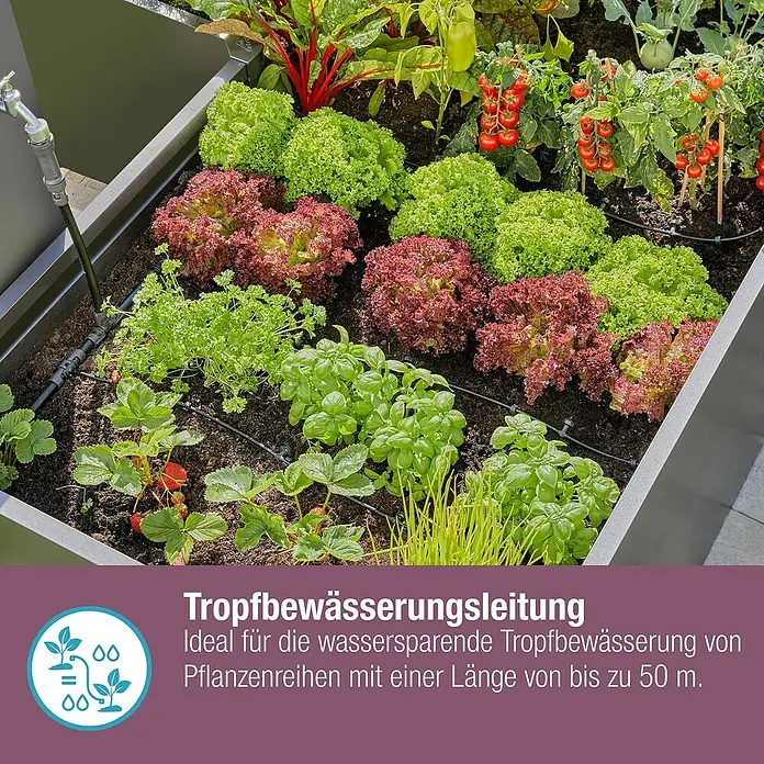 Gardena Micro-Drip Tropfrohr - Schlauchlänge: 50 m, 1,6 l/h, Passend für: Pflanzreihen bis 50 m - Ein Hochbeet mit einer Vielzahl von Pflanzen, die durch ein Tropfbewässerungssystem mit Wasser versorgt werden.