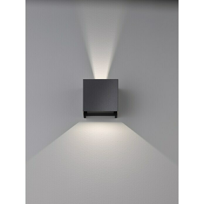 Fischer & Honsel LED-Außenwandleuchte Wall (6 W, 10 x 11 x 10 cm, Schwarz, IP44) | BAUHAUS