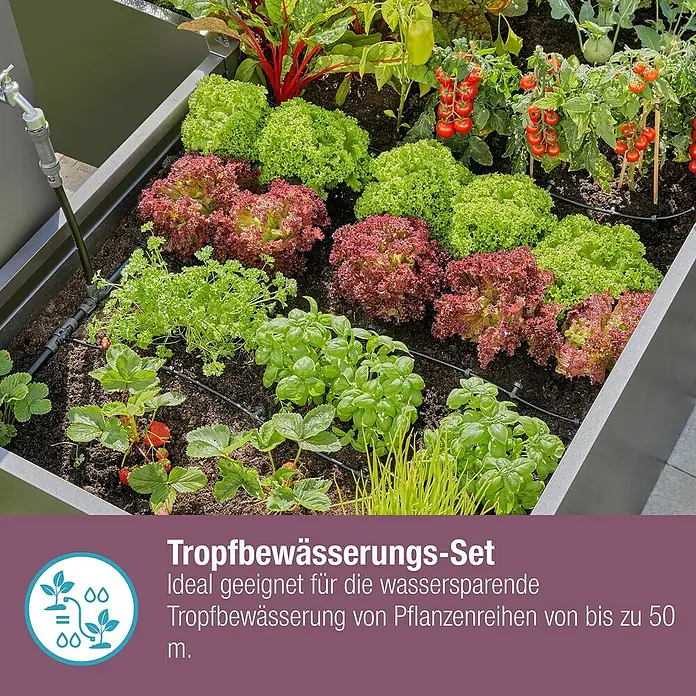 Gardena Micro-Drip Bewässerungs-Set Hecken & Sträucher 50 m Start-Set - Geeignet für: Reihenbewässerung, Pflanzreihen bis 50 m, Schlauchlänge: 50 m - Das Bild zeigt ein Tropfbewässerungs-Set, ideal für die Wassereinsparung bei der Bewässerung von Pflanzenreihen bis zu 50 m Länge.