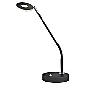 Fischer & Honsel Dent LED-Tischleuchte (6 W, L x B x H: 16 x 16 x 60 cm, Sandschwarz, Mehrfarbig) | BAUHAUS