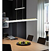 Fischer & Honsel LED-Pendelleuchte Roof (29 W, L x B x H: 115 x 14,5 x 151 cm, Messing, Mehrfarbig) | BAUHAUS