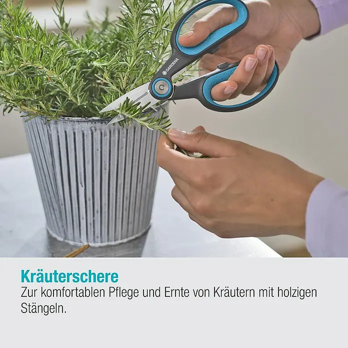 Gardena Schere Herbcut - Geeignet für: Kräuter - Kräuterschere von Gardena im Einsatz. Komfortable Pflege und Ernte von Kräutern mit holzigen Stängeln wird durch die scharfen Klingen ermöglicht.
