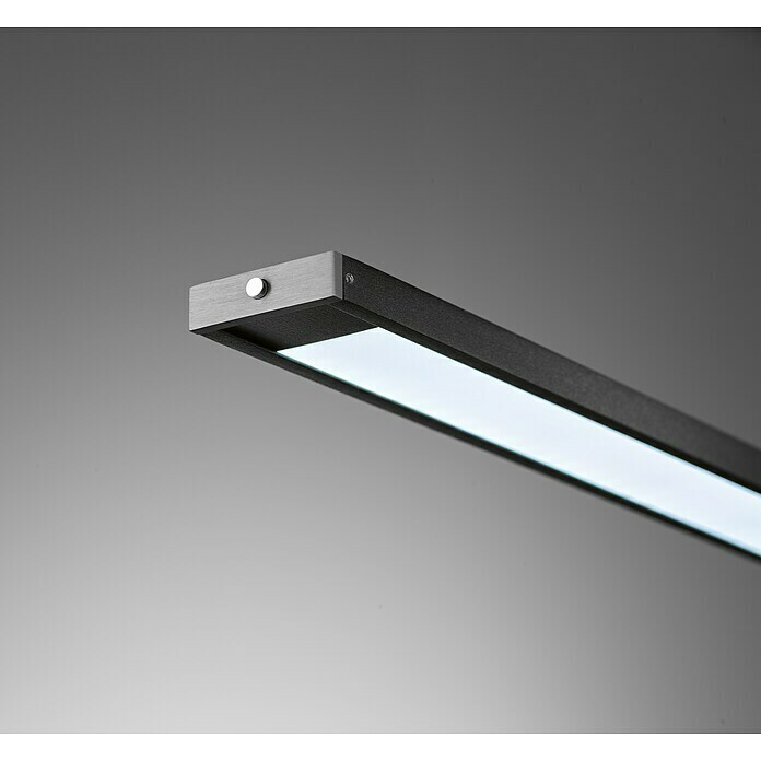 Fischer & Honsel LED-Pendelleuchte Metz (29 W, Schwarz, Mehrfarbig) | BAUHAUS