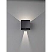 Fischer & Honsel LED-Außenwandleuchte Wall (6 W, 10 x 11 x 10 cm, Schwarz, IP44) | BAUHAUS