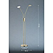 Fischer & Honsel Dent LED-Stehleuchte (12 W, Höhe: 150 cm, Messing, Mehrfarbig, 2 Stk.) | BAUHAUS