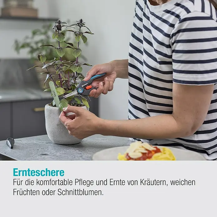 Gardena Schere FreshCut - Geeignet für: Kräuter - Gartenschere im Einsatz: Kräuterpflege leicht gemacht! Präzise Schnitte für gesunde Pflanzen und eine reiche Ernte.