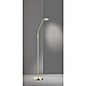 Fischer & Honsel Dent LED-Stehleuchte (6 W, Höhe: 150 cm, Messing, Mehrfarbig, 1 Stk.) | BAUHAUS