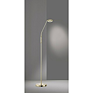 Fischer & Honsel Dent LED-Stehleuchte (6 W, Höhe: 150 cm, Messing, Mehrfarbig, 1 Stk.)