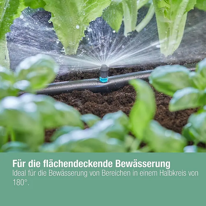 Gardena Micro-Drip Sprühdüse 180° - 5 Stk., 180 ° - Bewässerungssystem im Einsatz. Ideal für die Bewässerung von Bereichen in einem Halbkreis von 180 Grad.