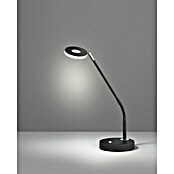 Fischer & Honsel Dent LED-Tischleuchte (6 W, L x B x H: 16 x 16 x 60 cm, Sandschwarz, Mehrfarbig) | BAUHAUS